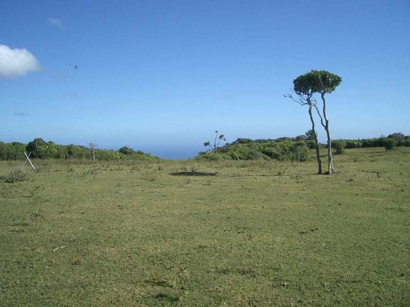 Mauritius 2006 (176).JPG